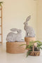 Set of 2 Rustic Metal Rabbits | Seasonal | Easter